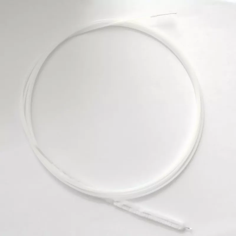 Brosse endoscopique duodénale